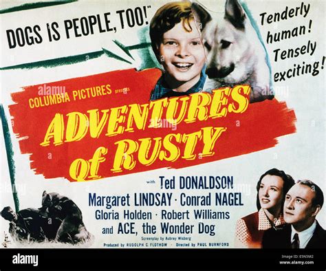 The Adventures of Rusty - 꼬마 강아지의 용감한 모험과 잊을 수 없는 우정!